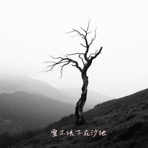 雪不该下在沙地