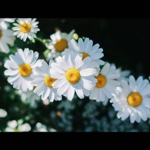 I'm still alive today