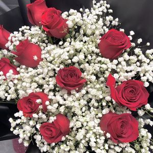 Tiamo（cover任媚爽）