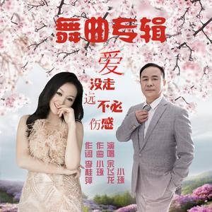 爱没走远不必伤感(慢四-小琢、余飞龙)