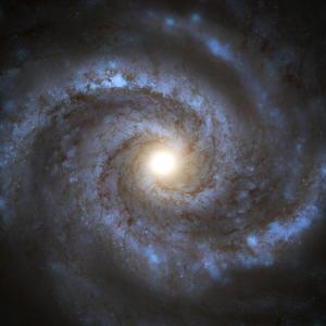 Spiral Galaxy