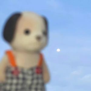 沦陷(cover: JuggShots)