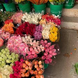 坠落星空（女）