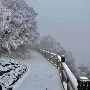 你说南方有我后来你往北走了