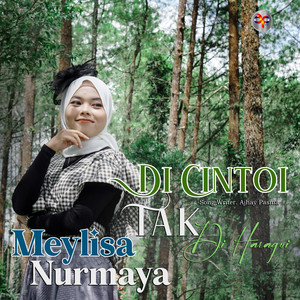 Di Cintoi Tak Di Haragoi