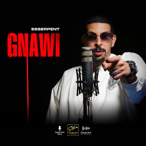 Gnawi