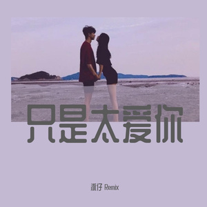 张敬轩-只是太爱你（Dj泳仔 remix）