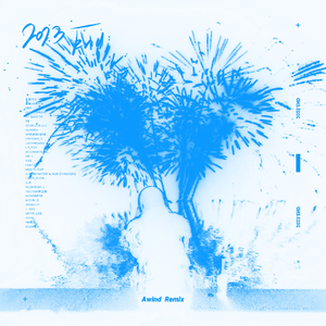 2023.End (Awind Remix)