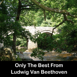 Symphony No- 1 in C Major, Op- 21 IV- Allegro molto e vivace