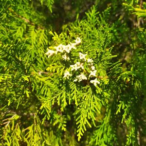 你出现在我最爱的时间里