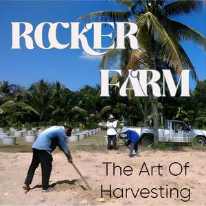 ไม่รู้ว่าโชคดีแค่ไหน