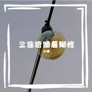 追着蝴蝶氛围