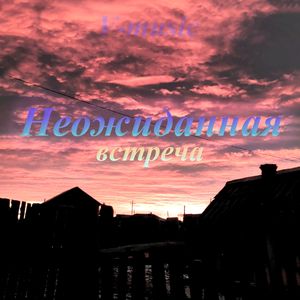 Неожиданная встреча