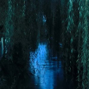来自暴风雨的礼物（纯音乐版）