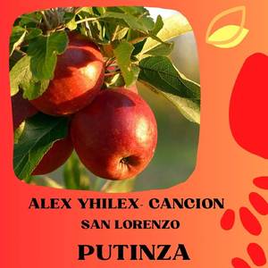 San Loreso de Putinza_ chicha tropical