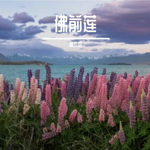 佛前莲