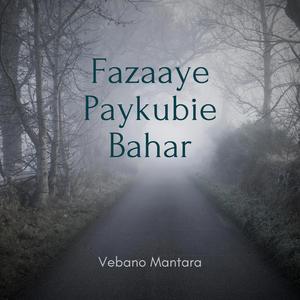 Falsafeye Bijaani
