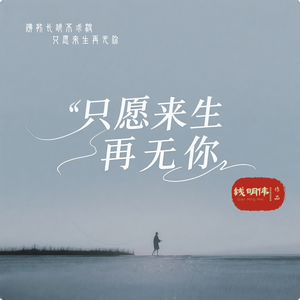 只愿来生再无你