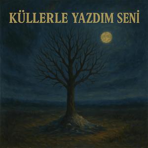 Küllerle Yazdım Seni
