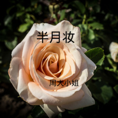 拜拜就拜拜下一个更乖 (DJ版)