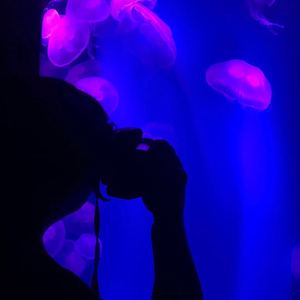 迷雾（prod by AKJ)