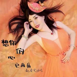 想你的心它在痛 伴奏