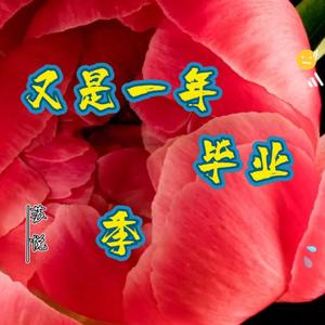 又是一年毕业季