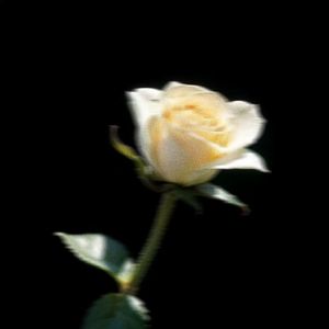 【Free Beat】Desert - Memphis Type Beat