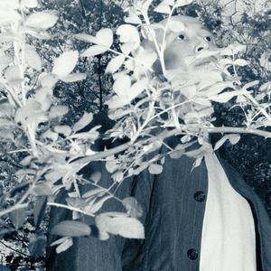 Stargazer (I Don't Mind)