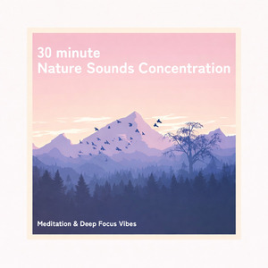 睡眠用ヒーリングミュージック ゆったりとしたギターの音で爆睡 (自律神経を整える睡眠用 森 鳥)