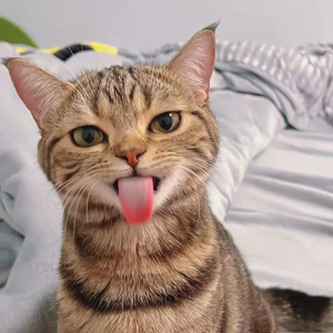 了