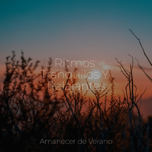 Melodías Silenciosas en el Crepúsculo