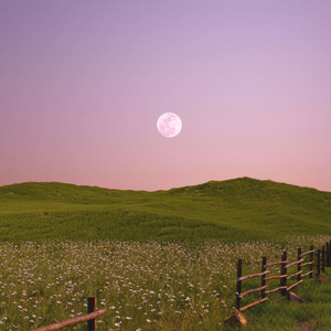 恋爱名片(Prod sieen)