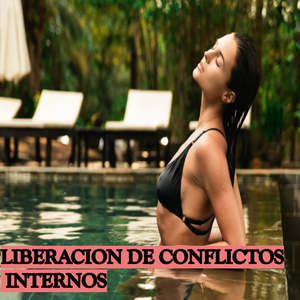 Sonido Liberador de Conflictos Internos
