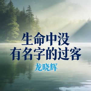 生命中没有名字的过客