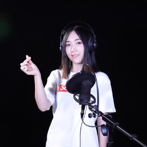 逝去的流星伴奏