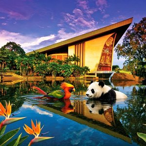 天堂巴布亚新几内亚|Papua New Guinean Paradise