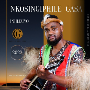 Inhliziyo