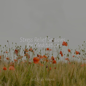 Somniloquent Symphony