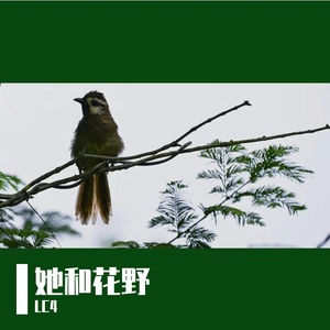 她和花野{Prod by 大力出奇迹}