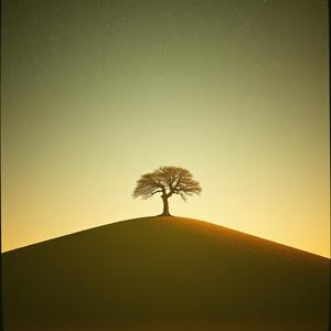 Missing Mama by @jewbei