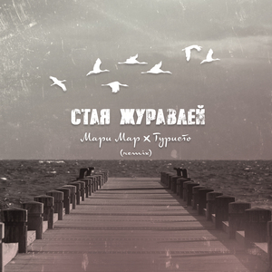 Стая журавлей (Remix)