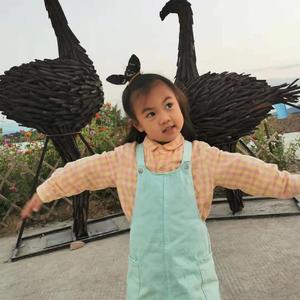 闪闪小红星—柳辰知/八音盒艺术