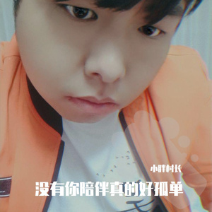 没有你陪伴真的好孤单（翻自 冷漠）