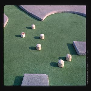 The Things We Once Took for Granted Are No More (Extinction Song)