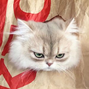 唯一【合唱版】