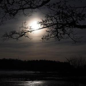 我离开了你的城市