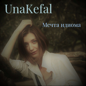 Мечта идиома