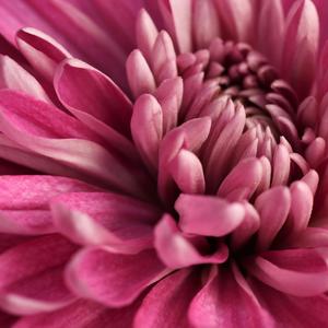 I Love It, when you love me