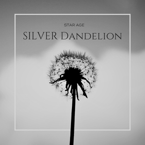 Silver Dandelion